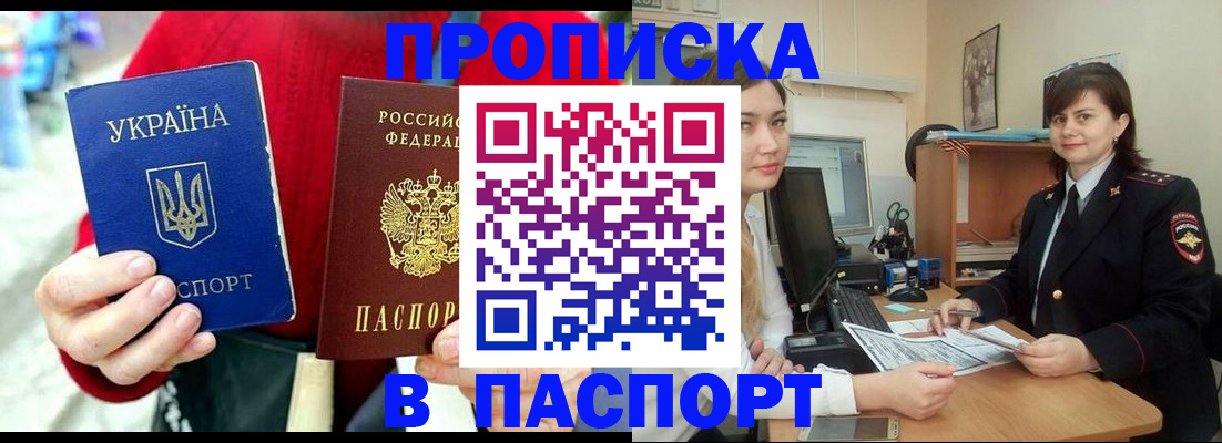 найти адрес прописки в Камышине